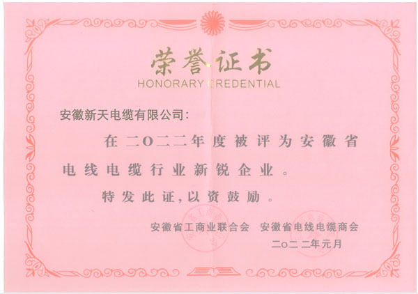 2022电缆行业新锐企业证书